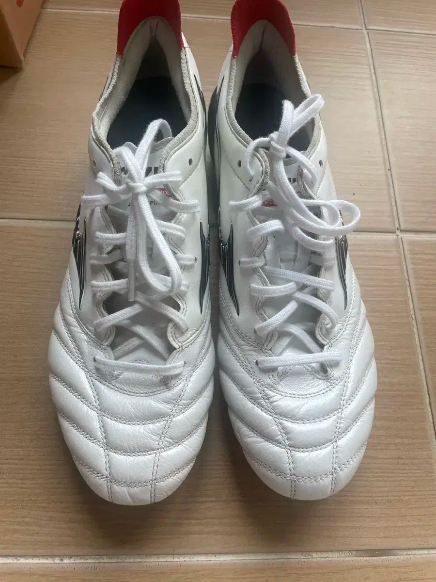 Mizuno ミズノ モレリア NEO₍ネオ jpn 260