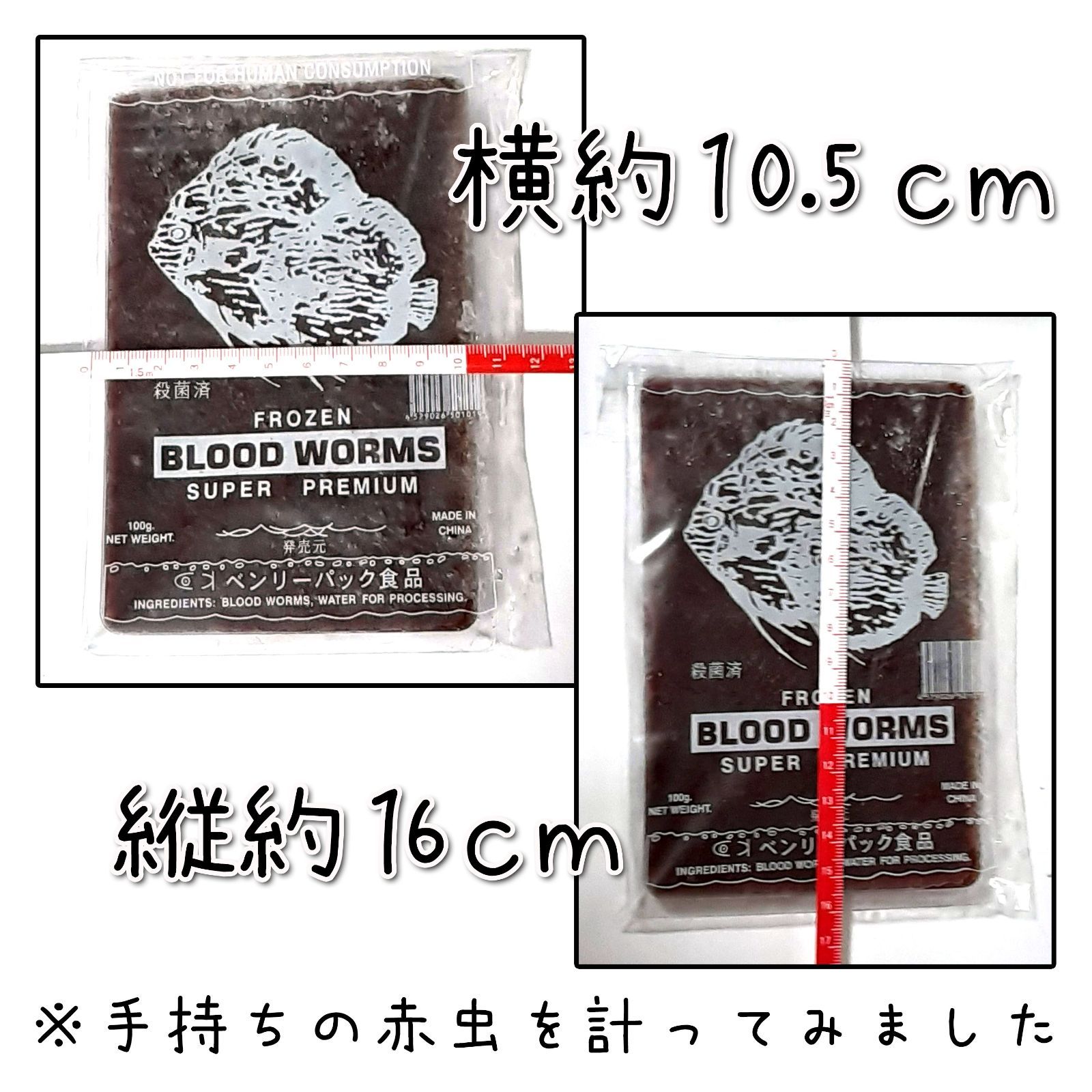 ASOこだわりあかむし 冷凍赤虫100g 10枚セット www.pefc.com.uy