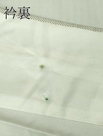 平和屋本店 上 本場大島紬 白大島 椿 DZAB1326kh5 TALLINNNEXPO_EU