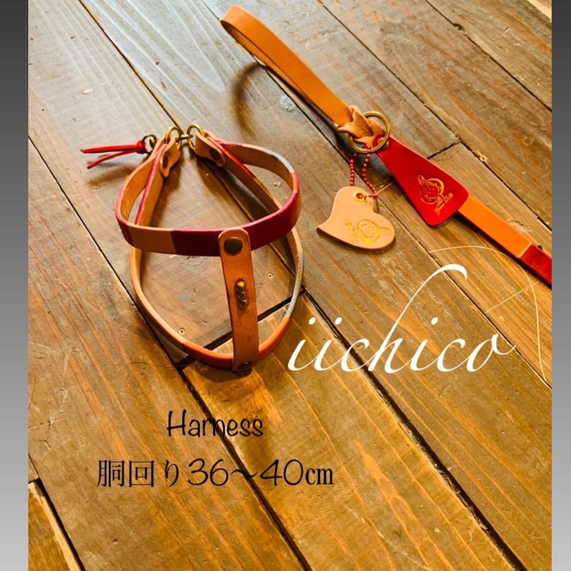 リード＆ハーネス2点セット‼️ RED＆ヌメ 【公式通販】