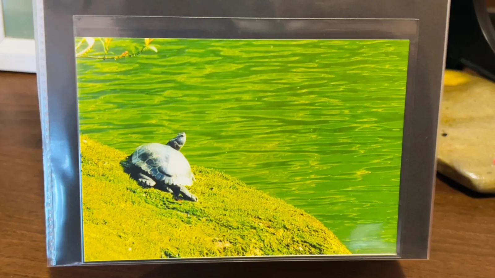 絵画　永田芳郎作　晩秋の妙義山A　アクリルキャンバス画　F15号 絵画 永田芳郎作 晩秋の妙義山A アクリルキャンバス画 F15号 【公式通販】