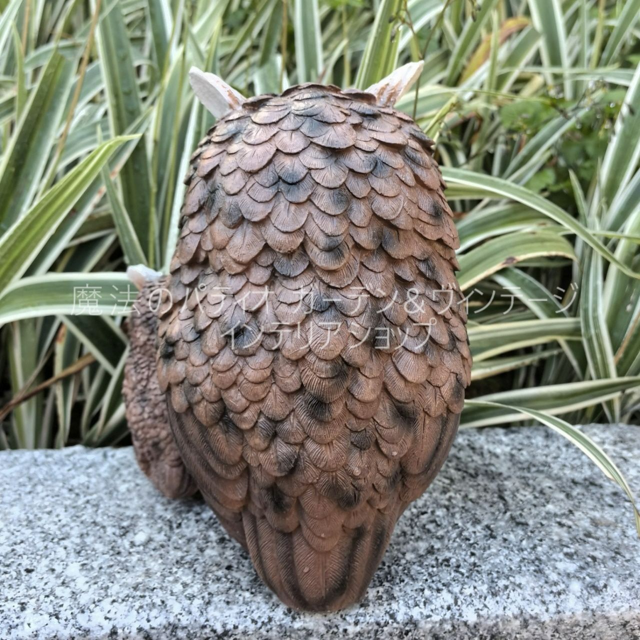 ブラウン ホワイト