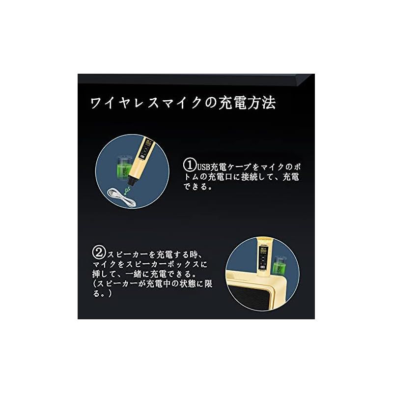 2つのハンドヘルドマイク有線および無線接続