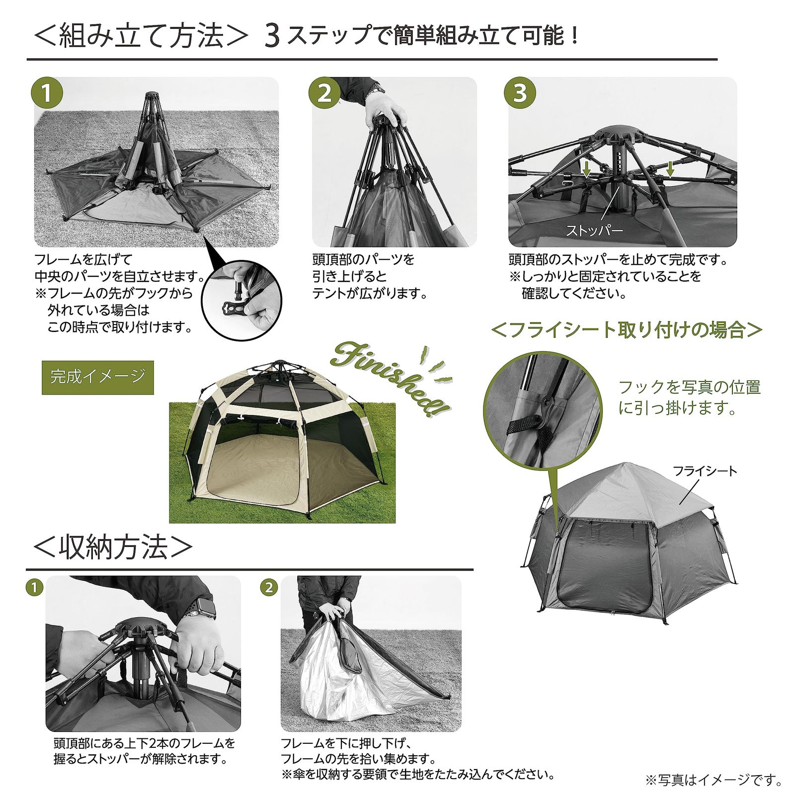 猫 ブラウン