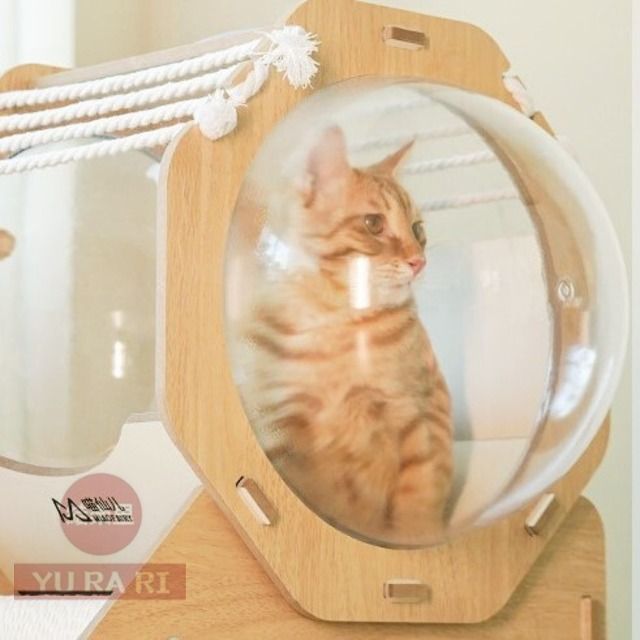 ペットハウス 猫ハウス