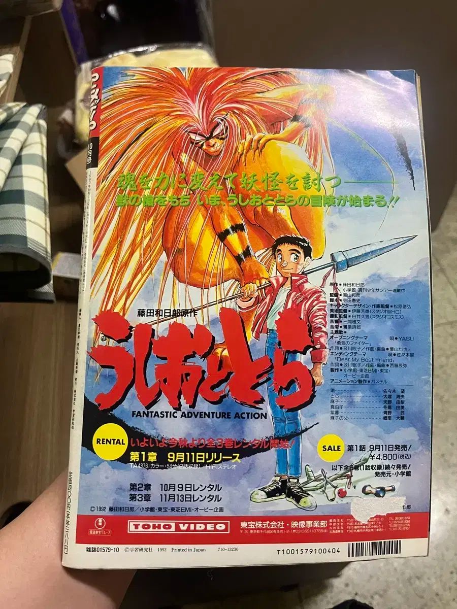 1992 年