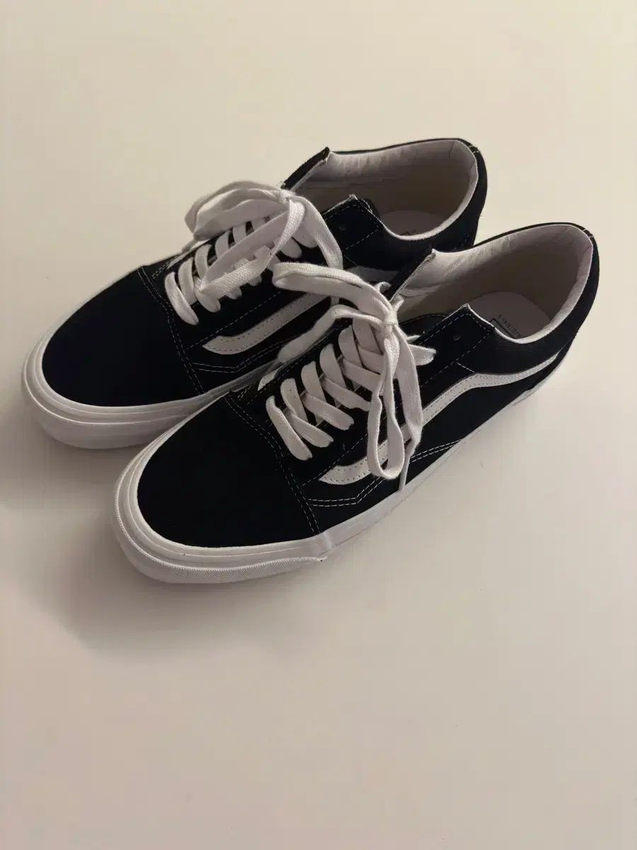 VANS バンズ ボルト スクール 290