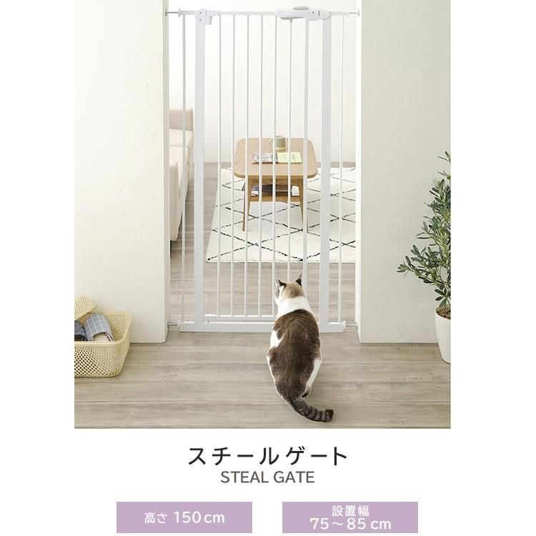 階段 猫