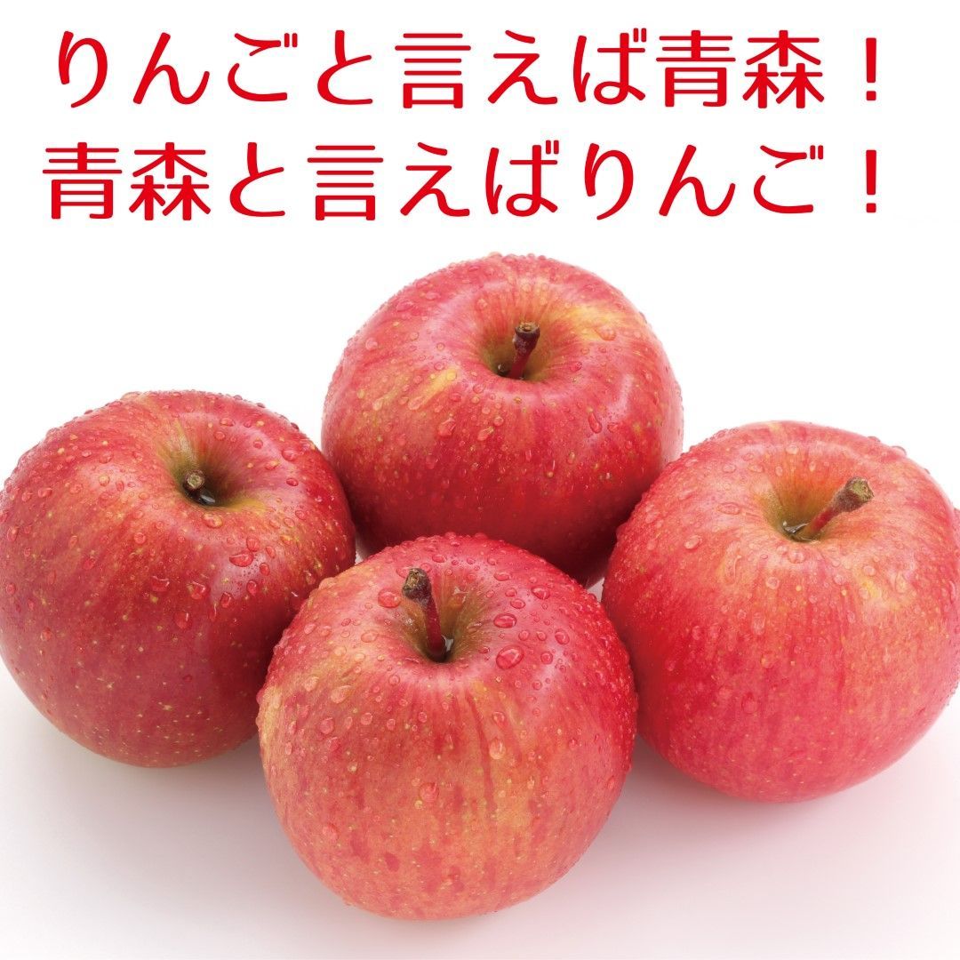 青森県産　家庭用訳あり　りんご　サンふじ　10kg-3