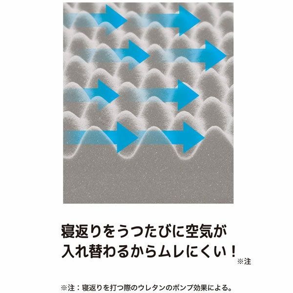 SUYARA スヤラ