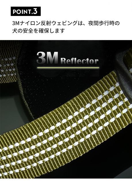 安全 7色