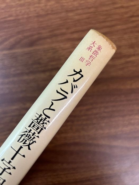 象徴哲学大系 3 (3) カバラと薔薇十字団 人文書院 マンリー P
