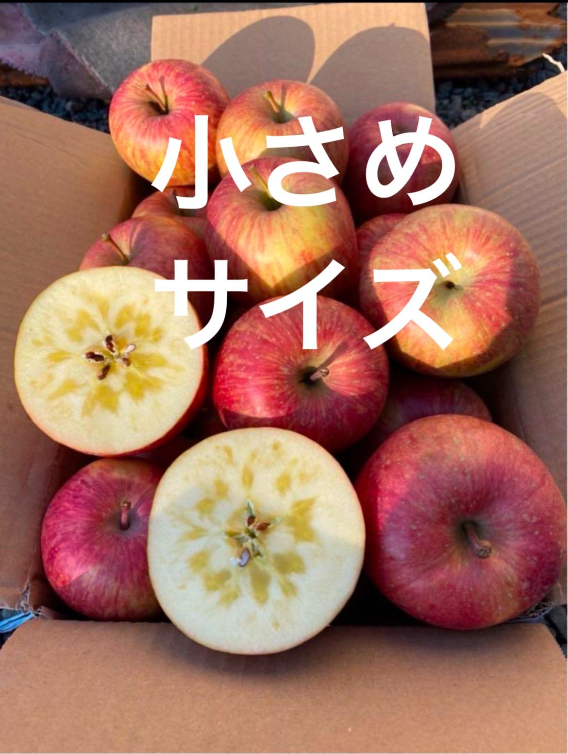 青森県産りんご葉取らずさんフジ家庭用約3キロ小さめサイズ
