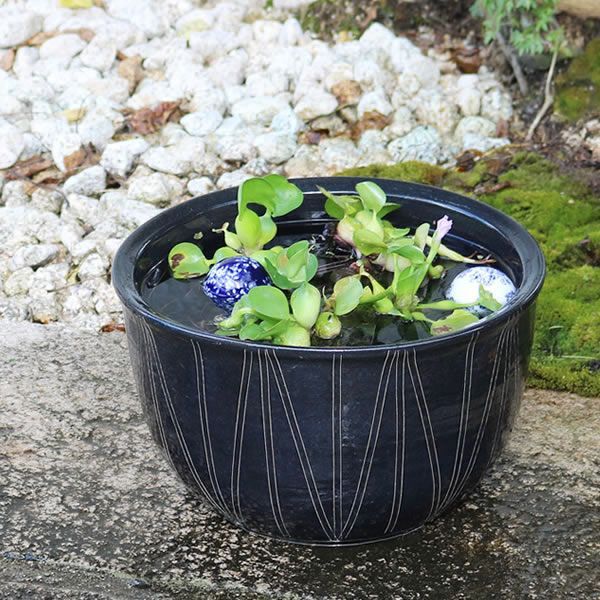 鉢　焼物　睡蓮鉢　金魚鉢 楽天市場】【1月24日20時開始15%OFFクーポン配布中】信楽焼 和風