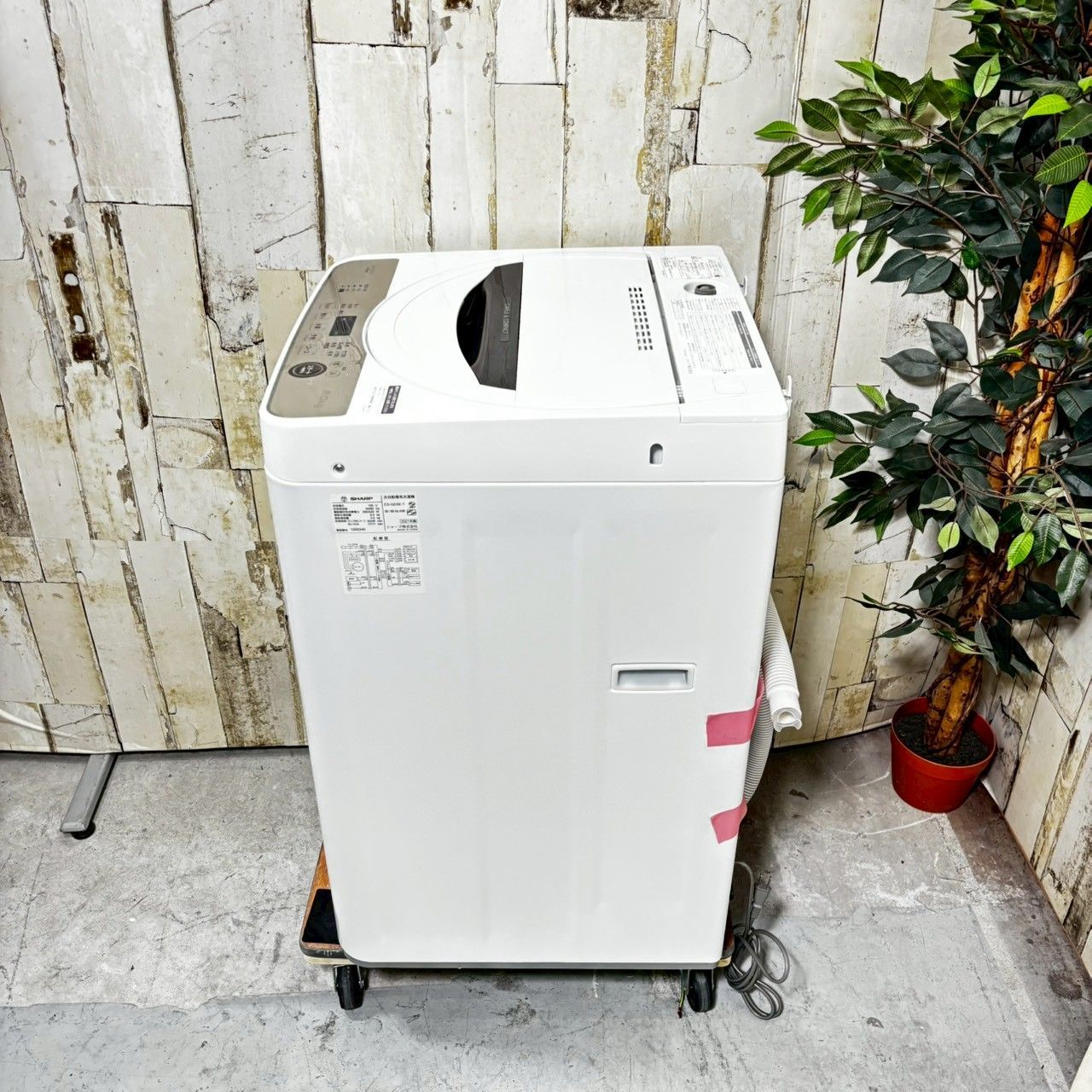 2021年製】SHARP シャープ ES-GE6E-T 洗濯機 6.0kg - メルカリ