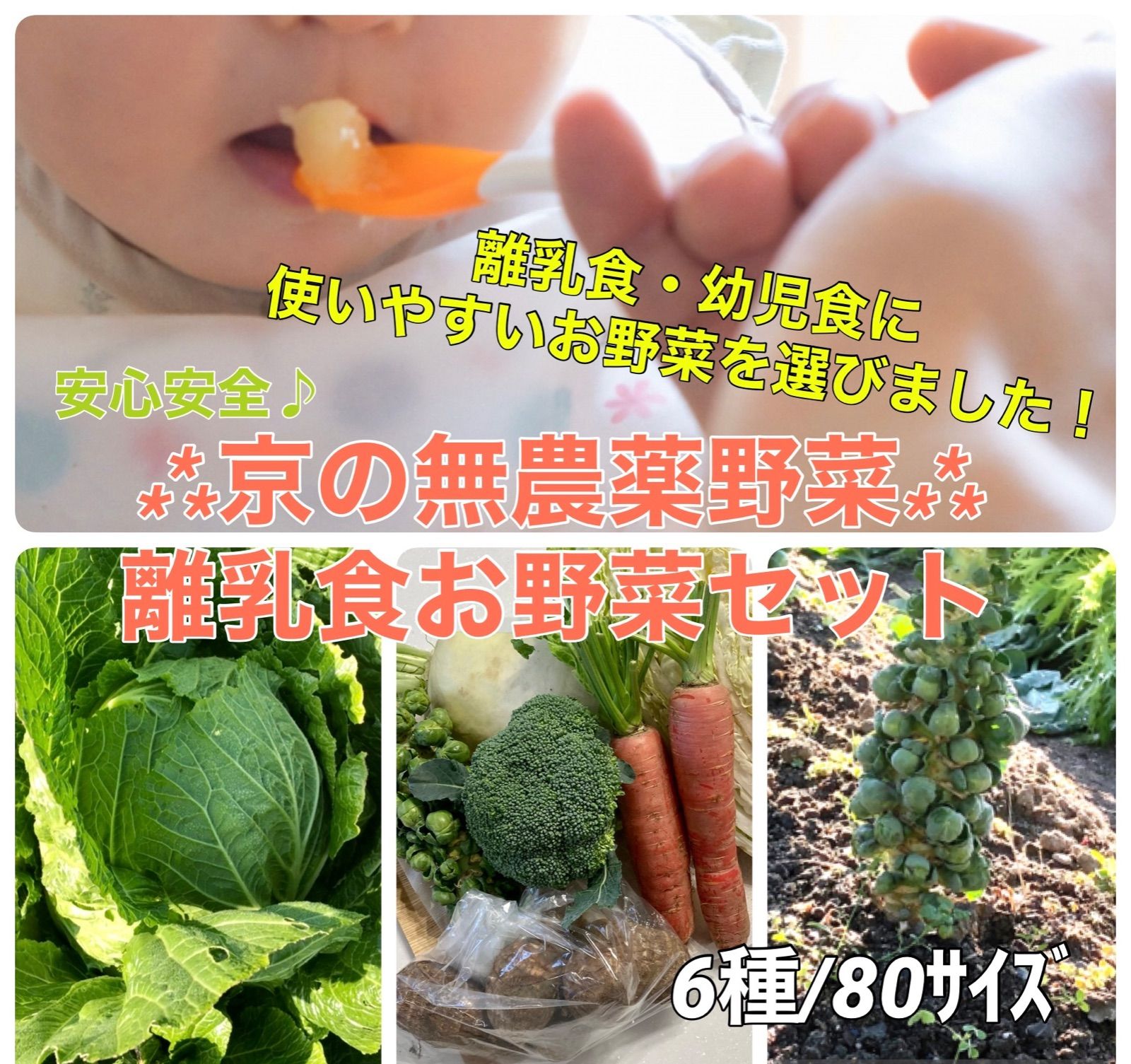 無農薬減農薬野菜セット ８０サイズ③ - 食品