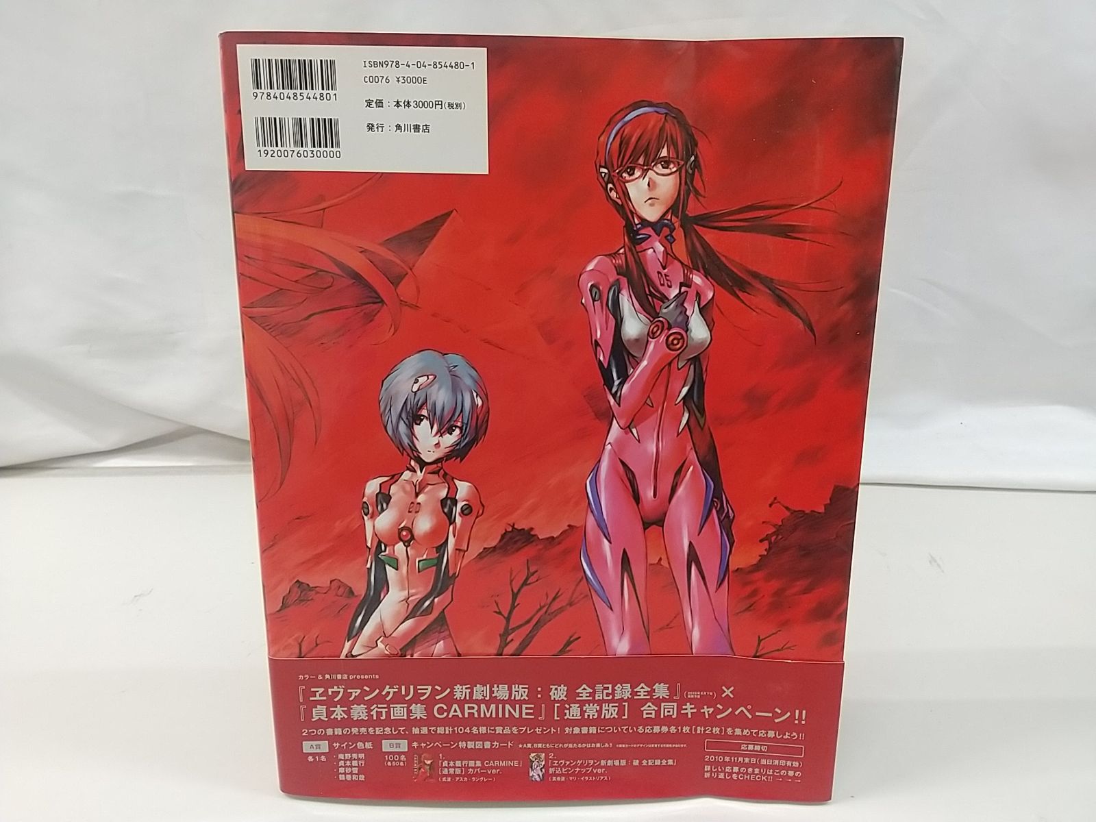 貞本義行画集 CARMINE限定版 Amazon.co.jp: 貞本義行画集 CARMINE （通常版） : 貞本 義行: 本