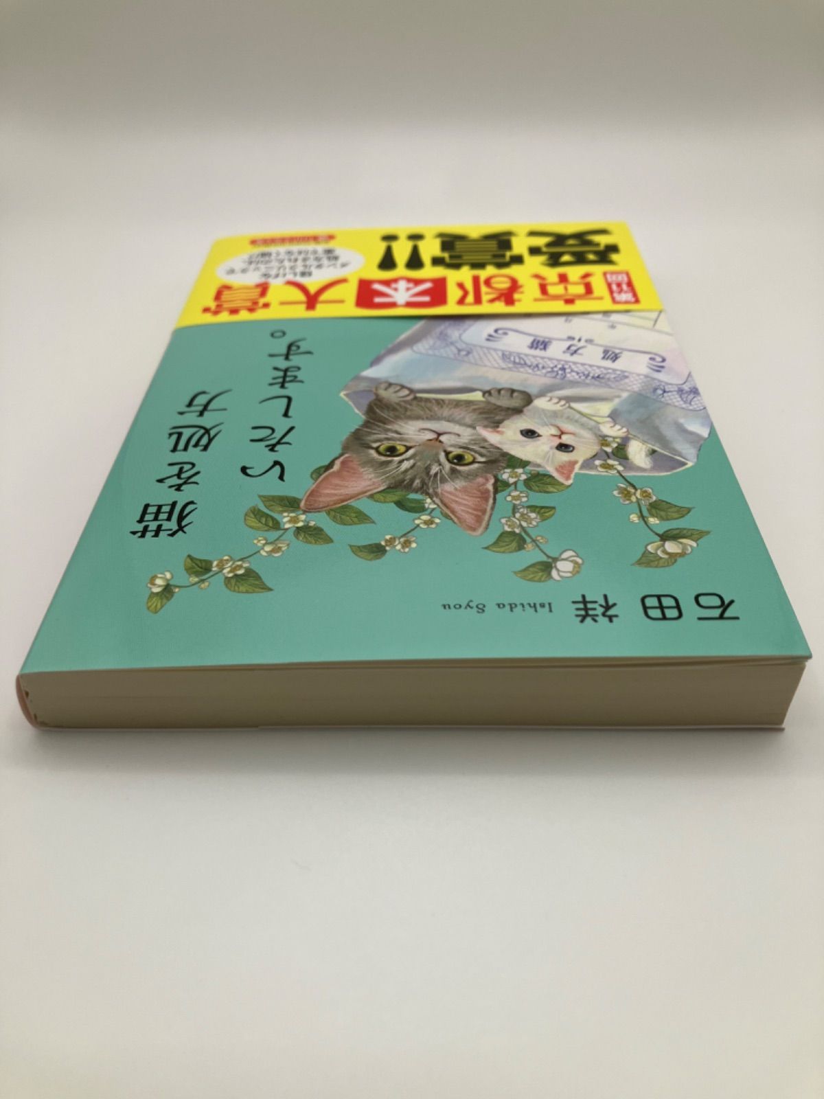 【新品】猫を処方いたします。