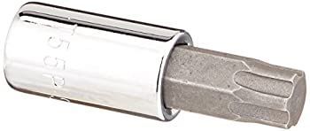 ルイス SK Hand Tool 45573 0.38 in. Drive TORX Plus Bit Socket - T55 SK