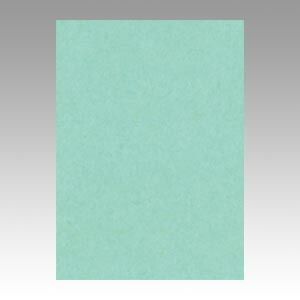 （まとめ） 色画用紙 文運堂 ニューカラーＲ あかるいあさぎ 4NCR-114 4954022641146 1冊【×5セット】
