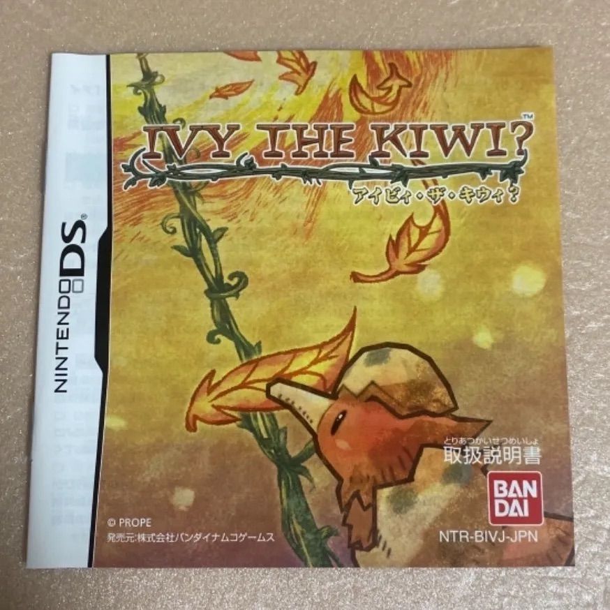 超美品】 DS アイビィ・ザ・キウィ？ IVY THE KIWI？ - あなたのゲーム