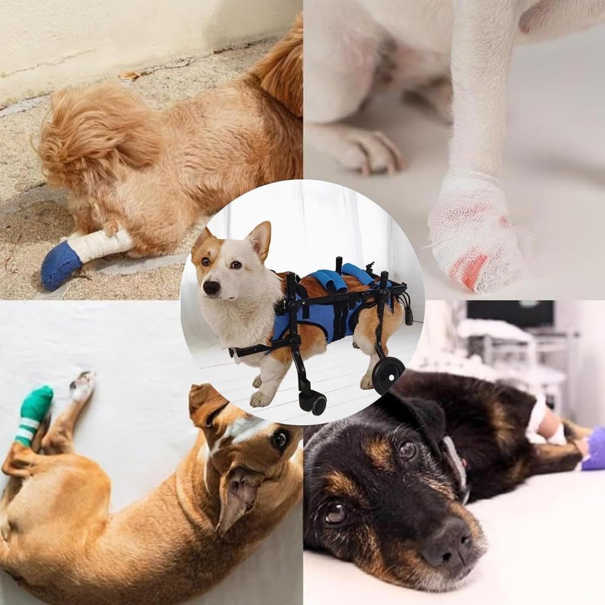 麻痺した後足のための犬補助歩行器 M