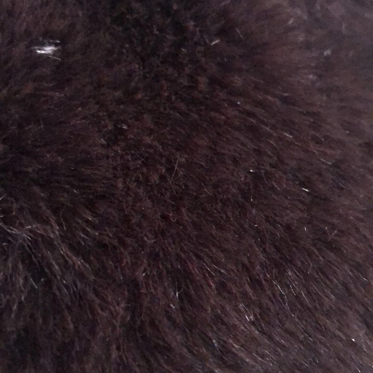 AMACA アマカ コート サイズ38 M レディース - ダークブラウン 長袖 フェイクファー ショート丈 冬 GULLKHAN_COM