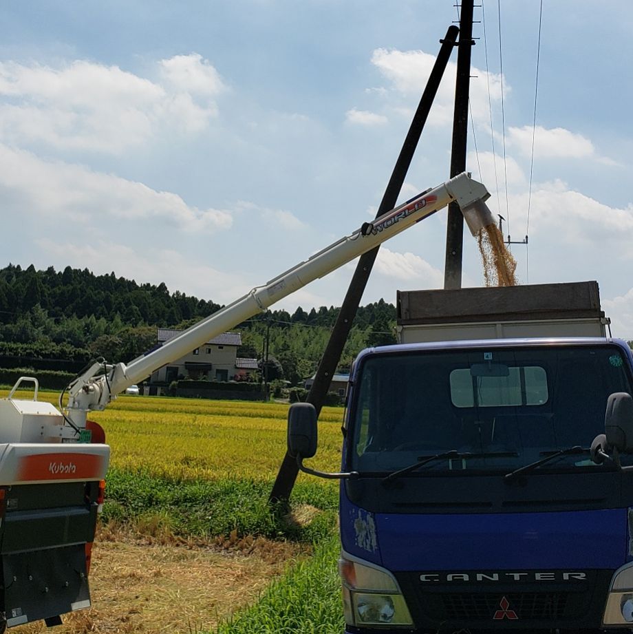 ミルキークイーン 玄米30kg