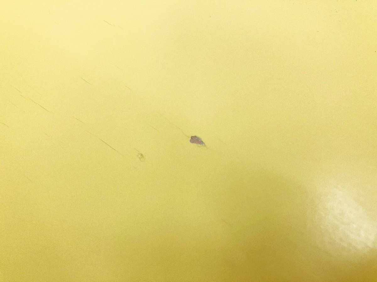 安い！かわいい！ B Fritz Hansen|フリッツハンセン アントチェア | アリンコチェア ライトイエロー ラッカー 北欧 ヤコブセン 送料無料も! 