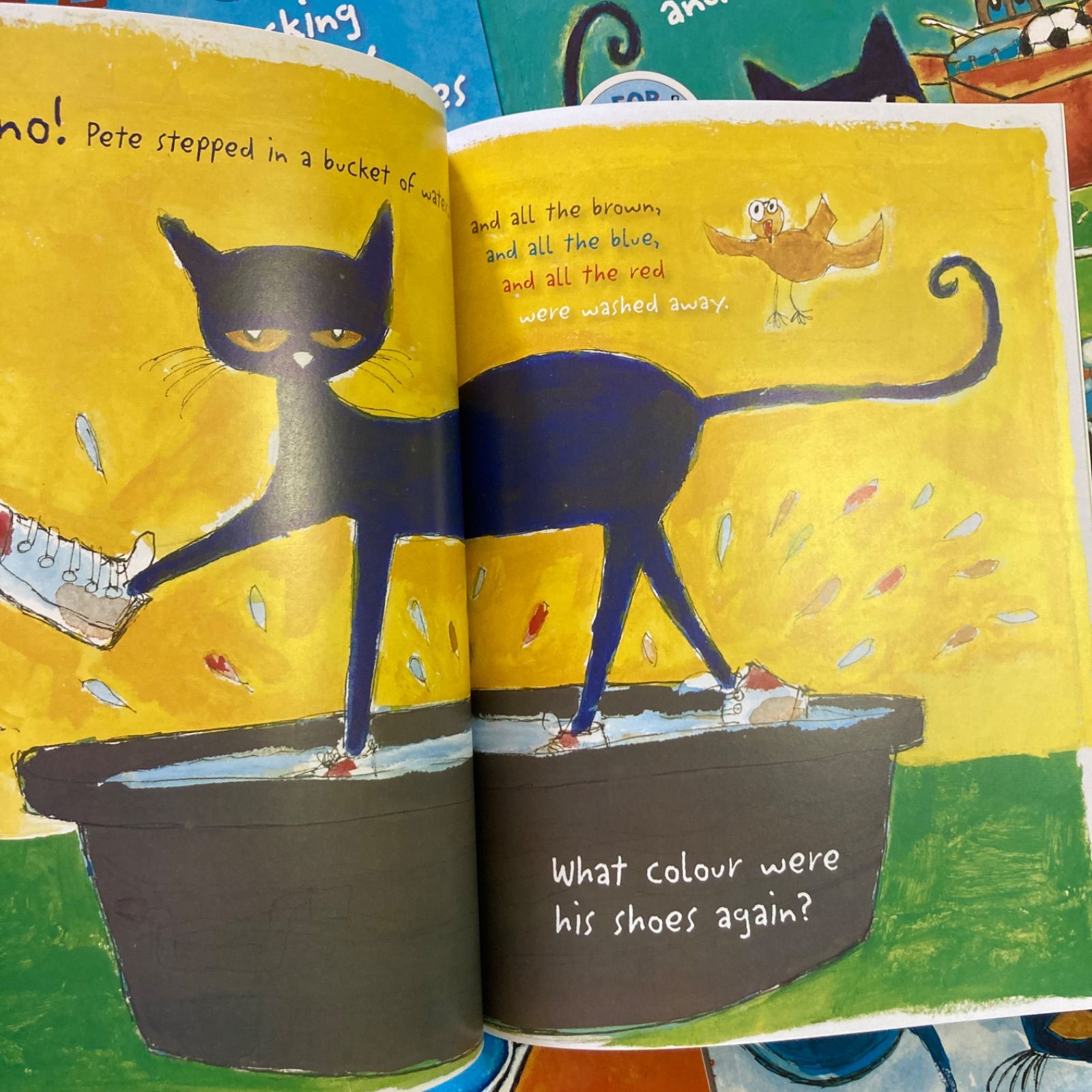 Pete the Cat 大型本 6冊 マイヤペン対応 maiyapen ねこのピート