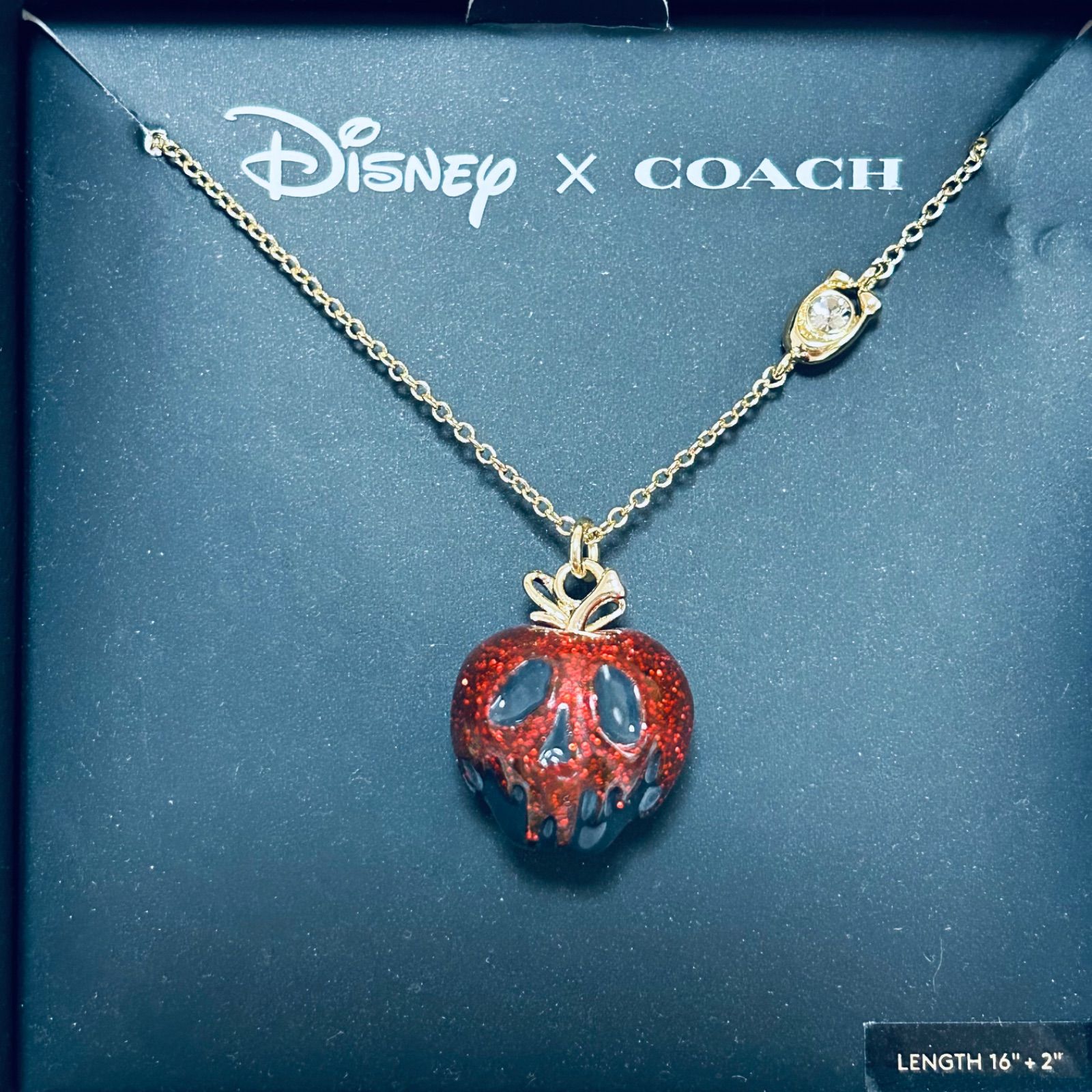 coach Disney ポイズンアップル セット ネックレス ブレスレット-