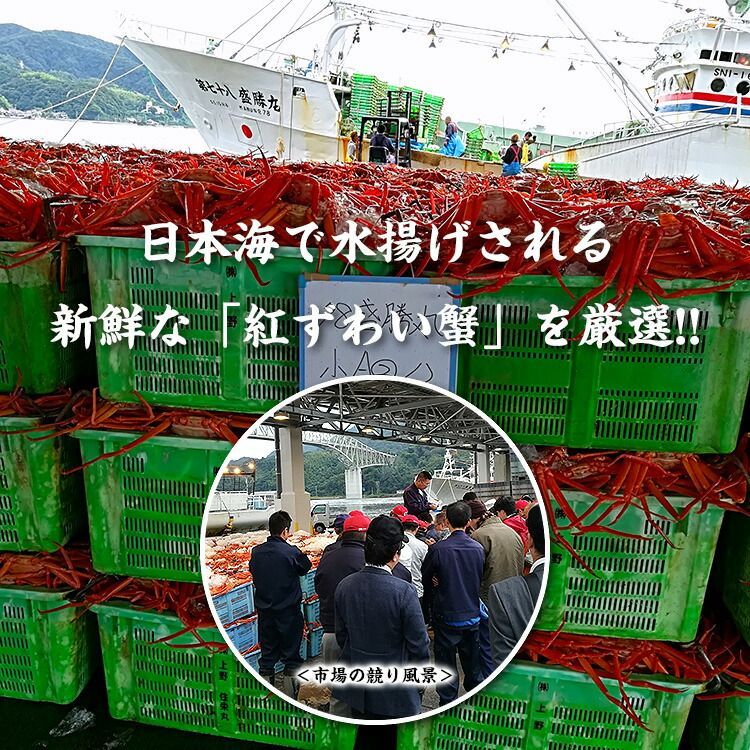 のサムネイル