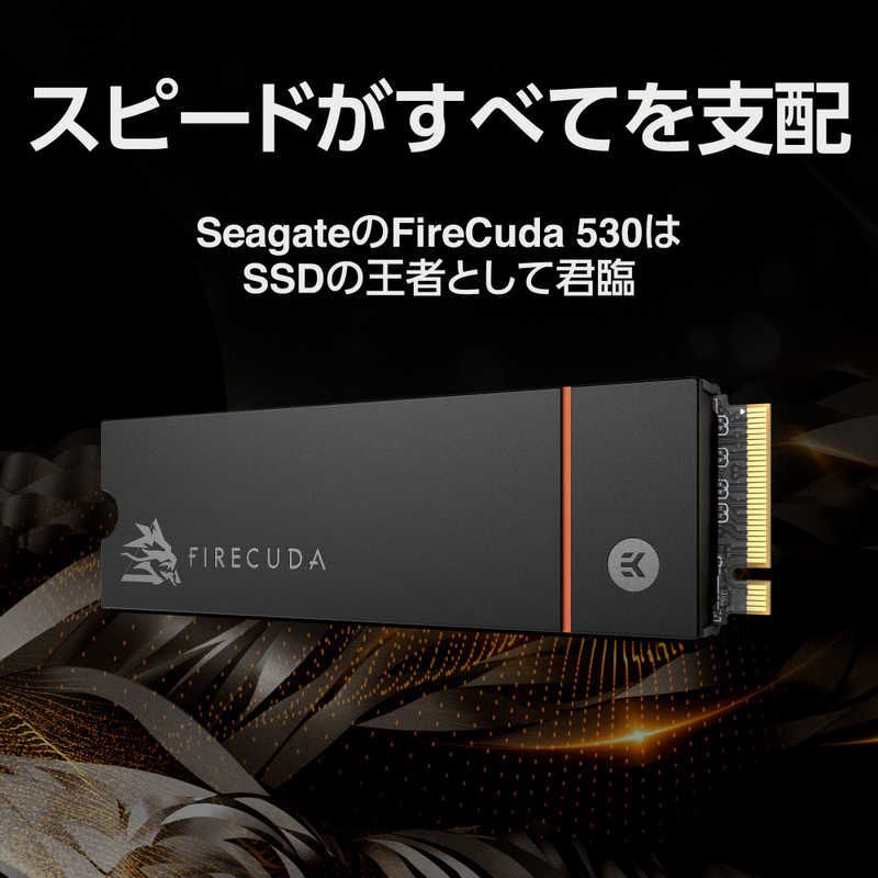 新品 未使用 未開梱】SEAGATE Seagate FireCuda 530 M.2 ヒートシンク付き 1TB PCIe Gen4x4 SSD｢バルク品｣  ZP1000GM3A023 - メルカリ