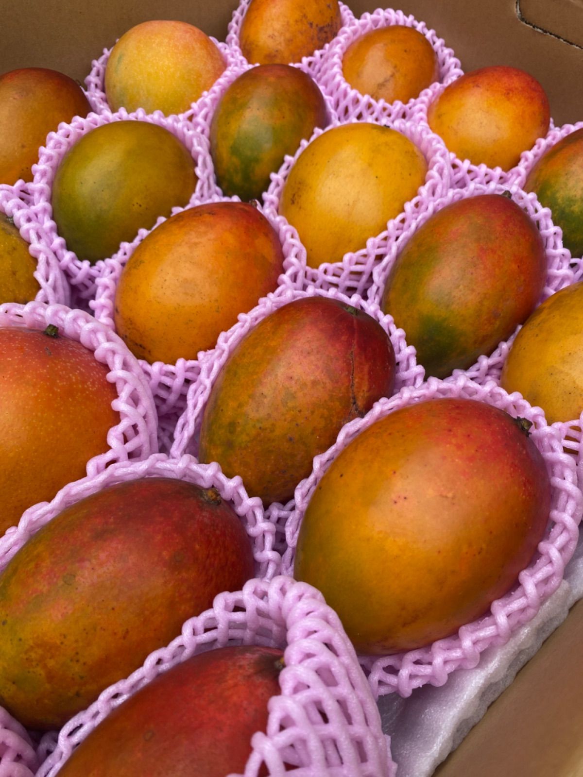 黒点あり キズあり