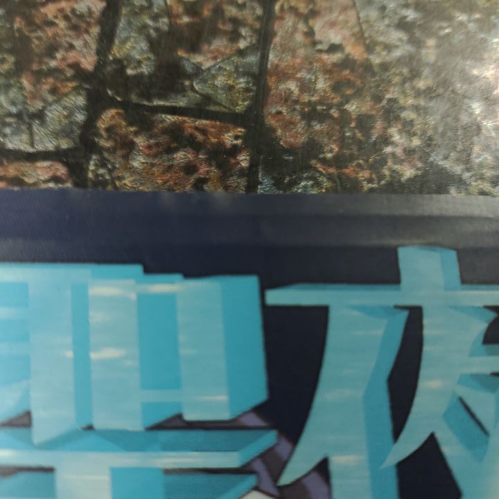 エメラルドドラゴン 電撃ムックシリーズ 体験版 ガイドブック 電撃PC