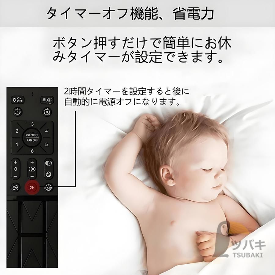 逆転機能 ファン付き照明