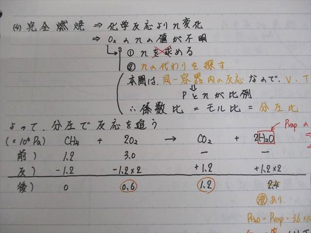 駿台 高2スーパー化学 テキスト通年セット 2021 計2冊 神林宏征