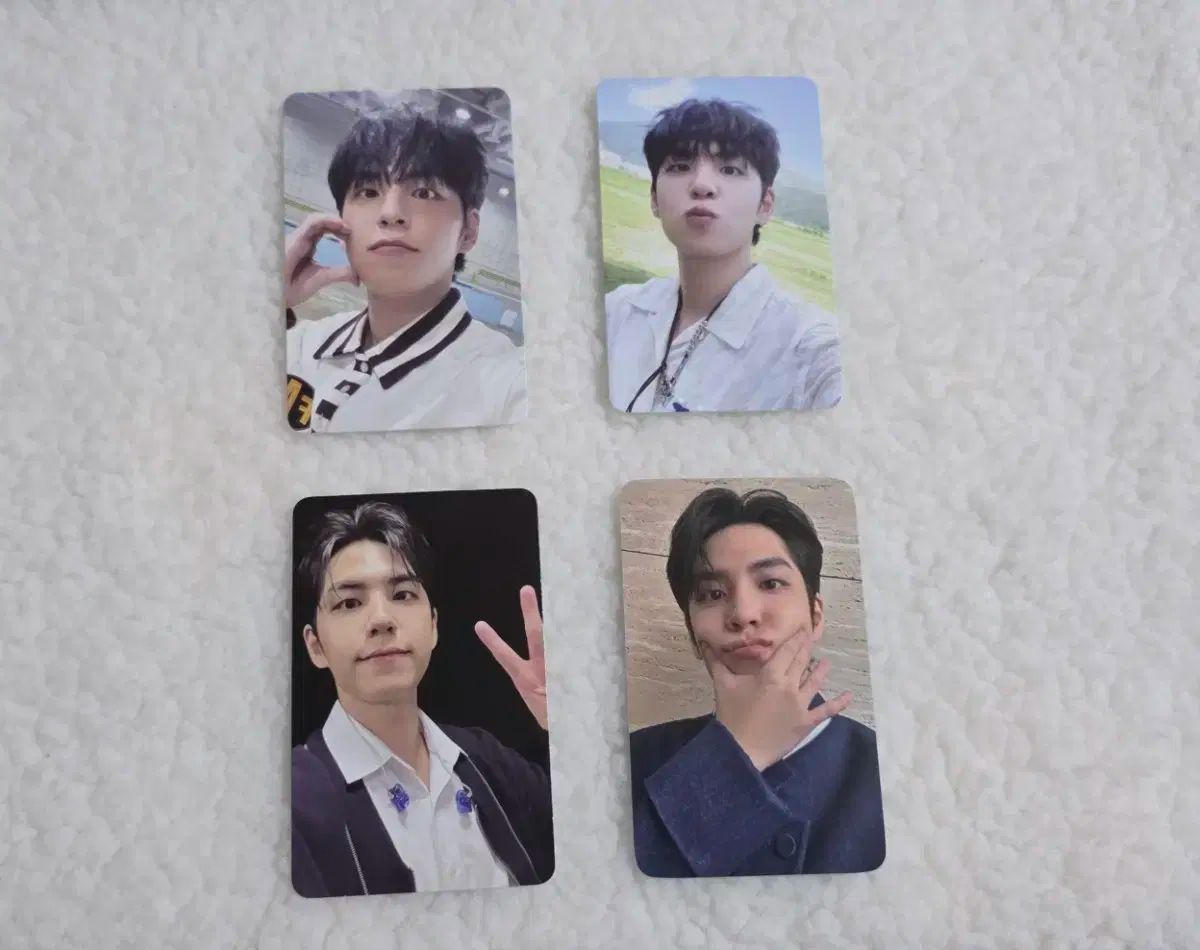 Day6 DICON wonpil ウォンピル ポストカード10枚セット 写真 DAY6