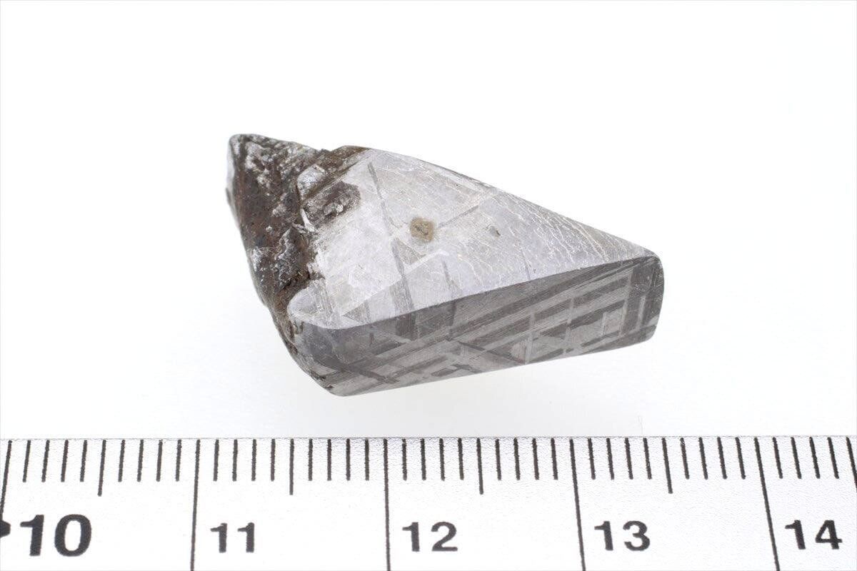 ムオニナルスタ ムオニオナルスタ 11g スライス カット 標本 隕石 