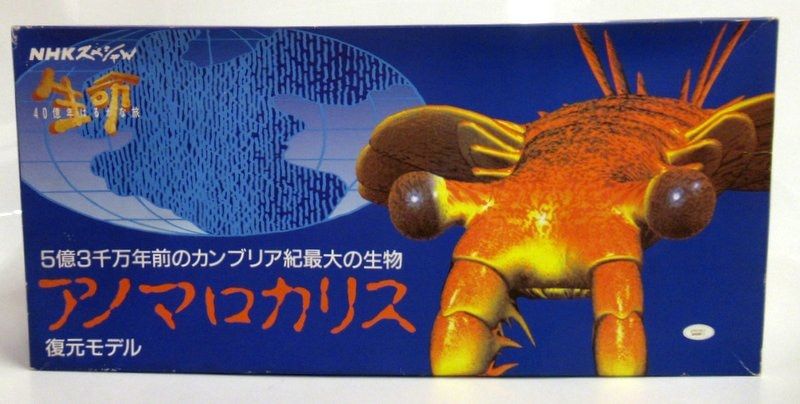 アノマロカリス 「NHK 生命 40億年はるかな旅」復元モデル NHK