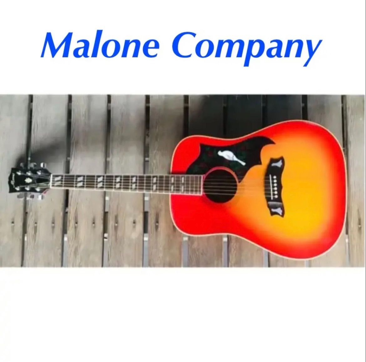 モーリス アコースティックギター(Doveモデル) USED - Malone Company