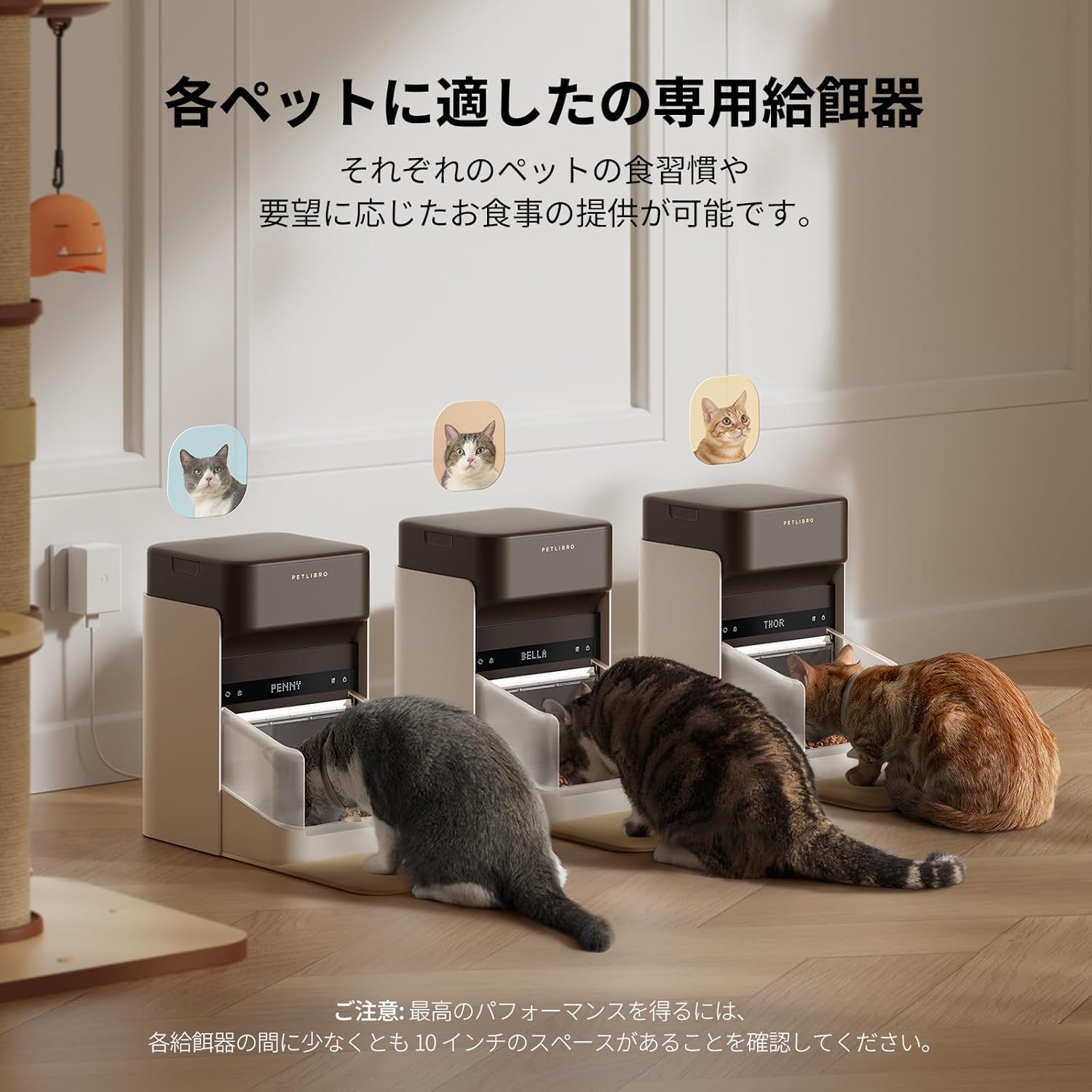 猫用
