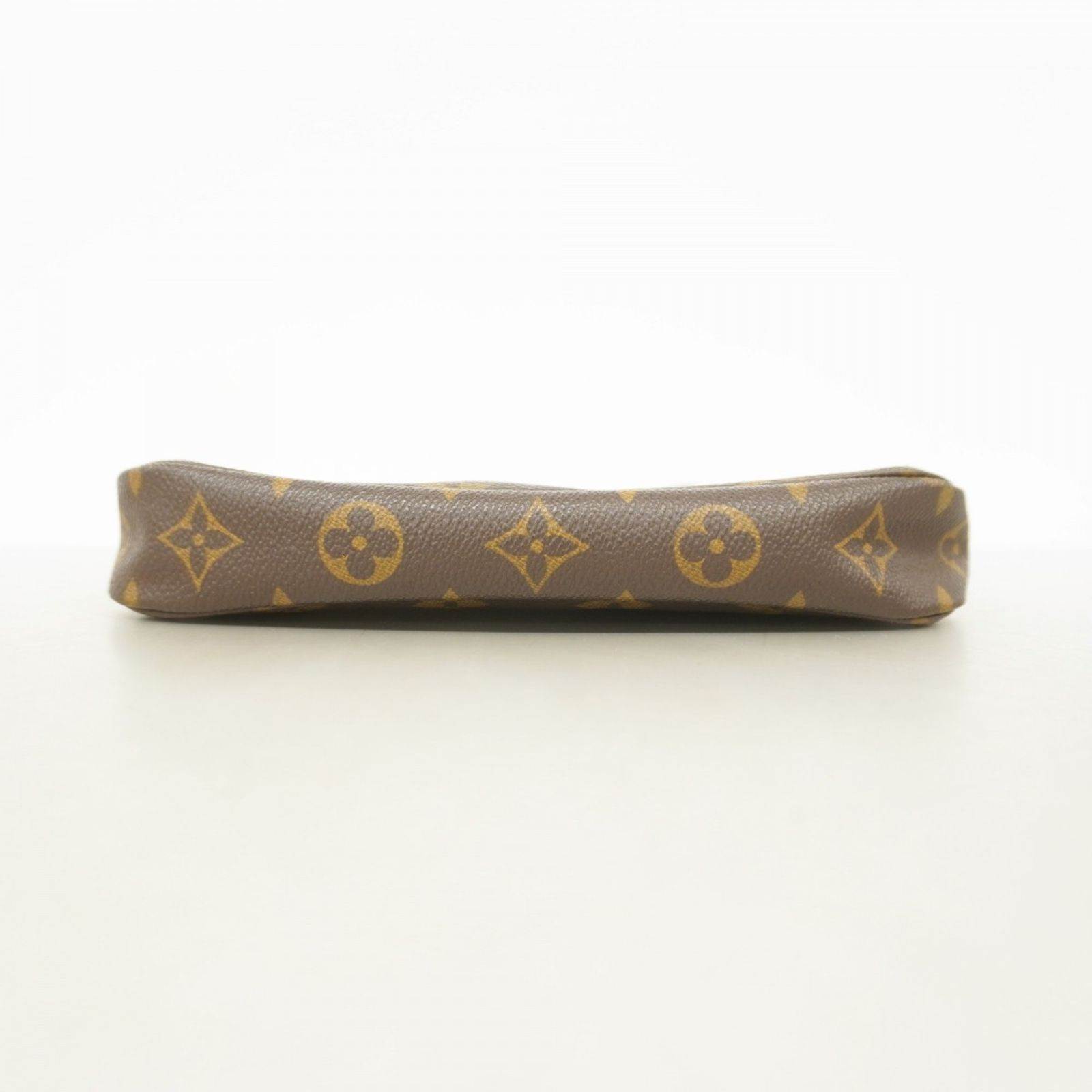 ブラウンレディース P1281469