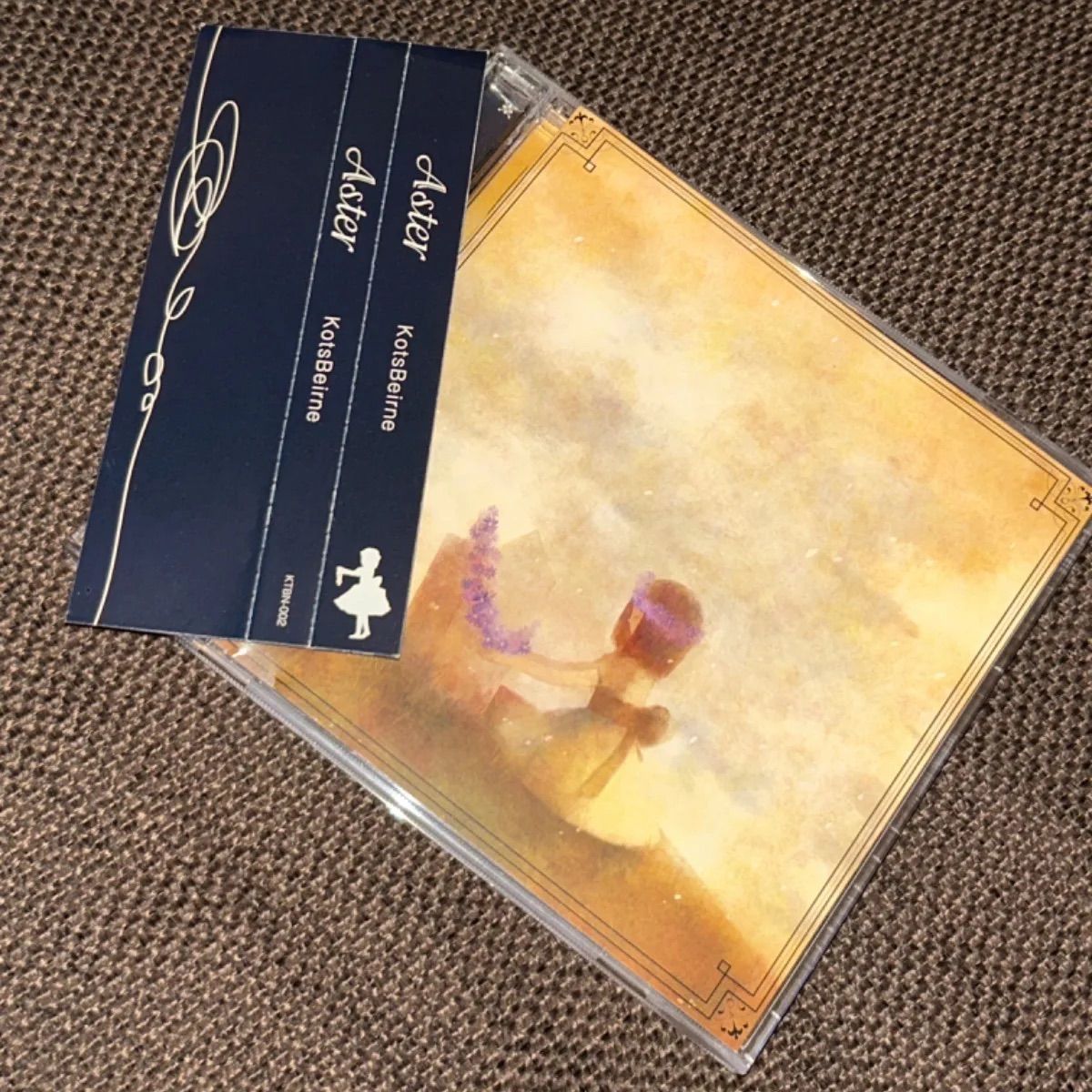 骨盤P Kotsbeirne Aster