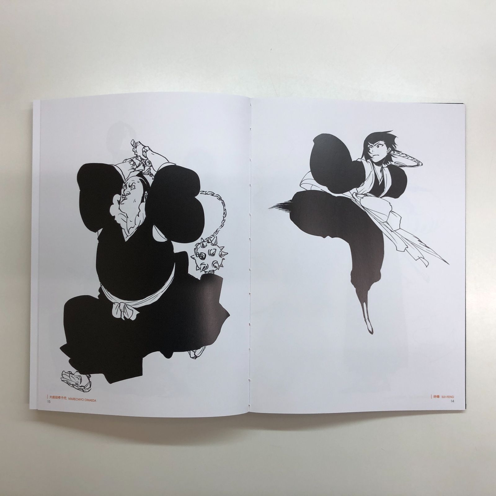 本 [N]BLEACH EX. THE BLACK BROCHURE 画集