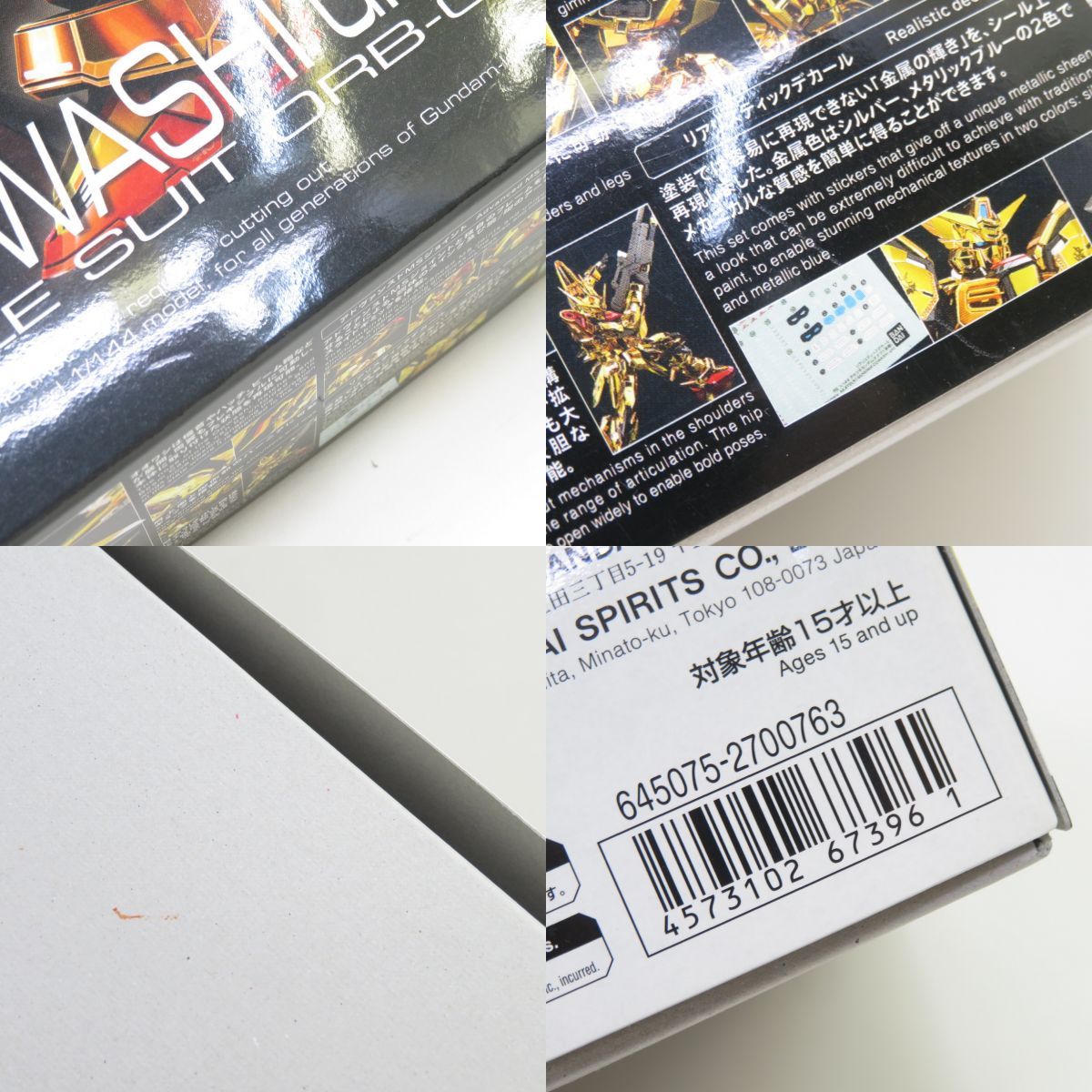 オオワシ装備