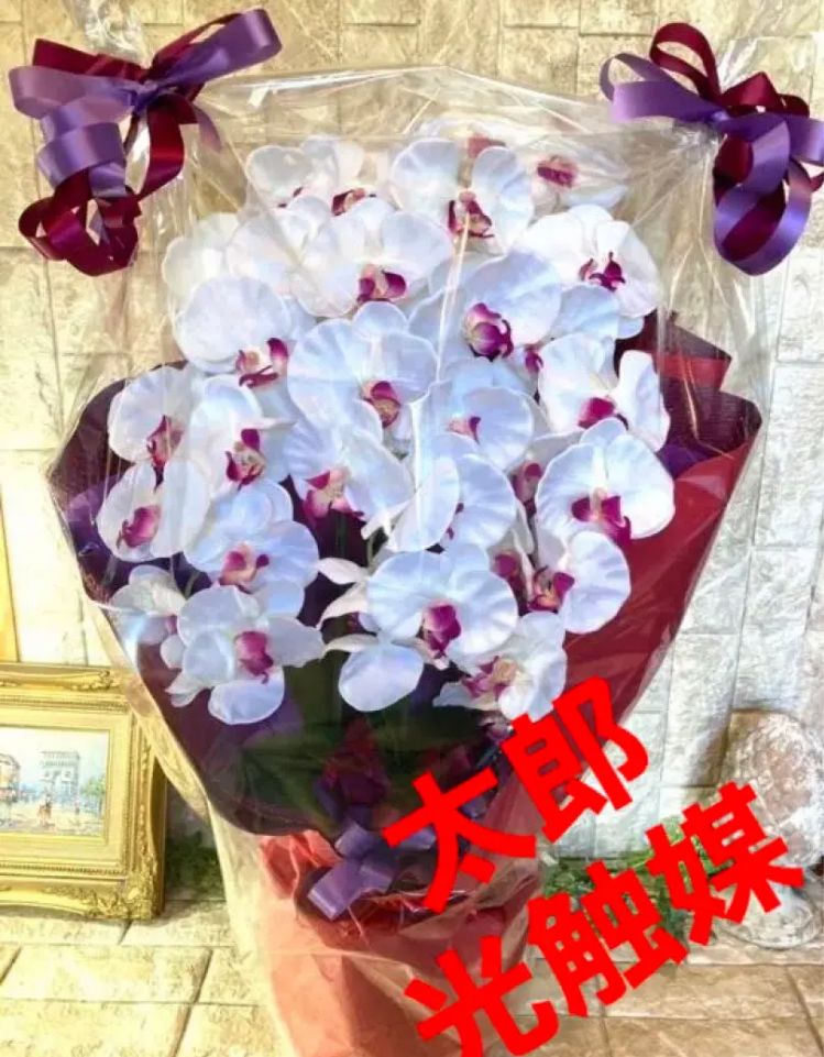 Nicolai Bergmann meets PEANUTS. スヌーピー スヌーピーが花に舞う