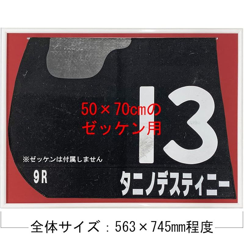 競馬ゼッケン専用額 額縁外寸法:563×745ミリ UVカット強化型アクリル付(室内紫外線を98%程度カット) (ホワイト×レッド) - メルカリ