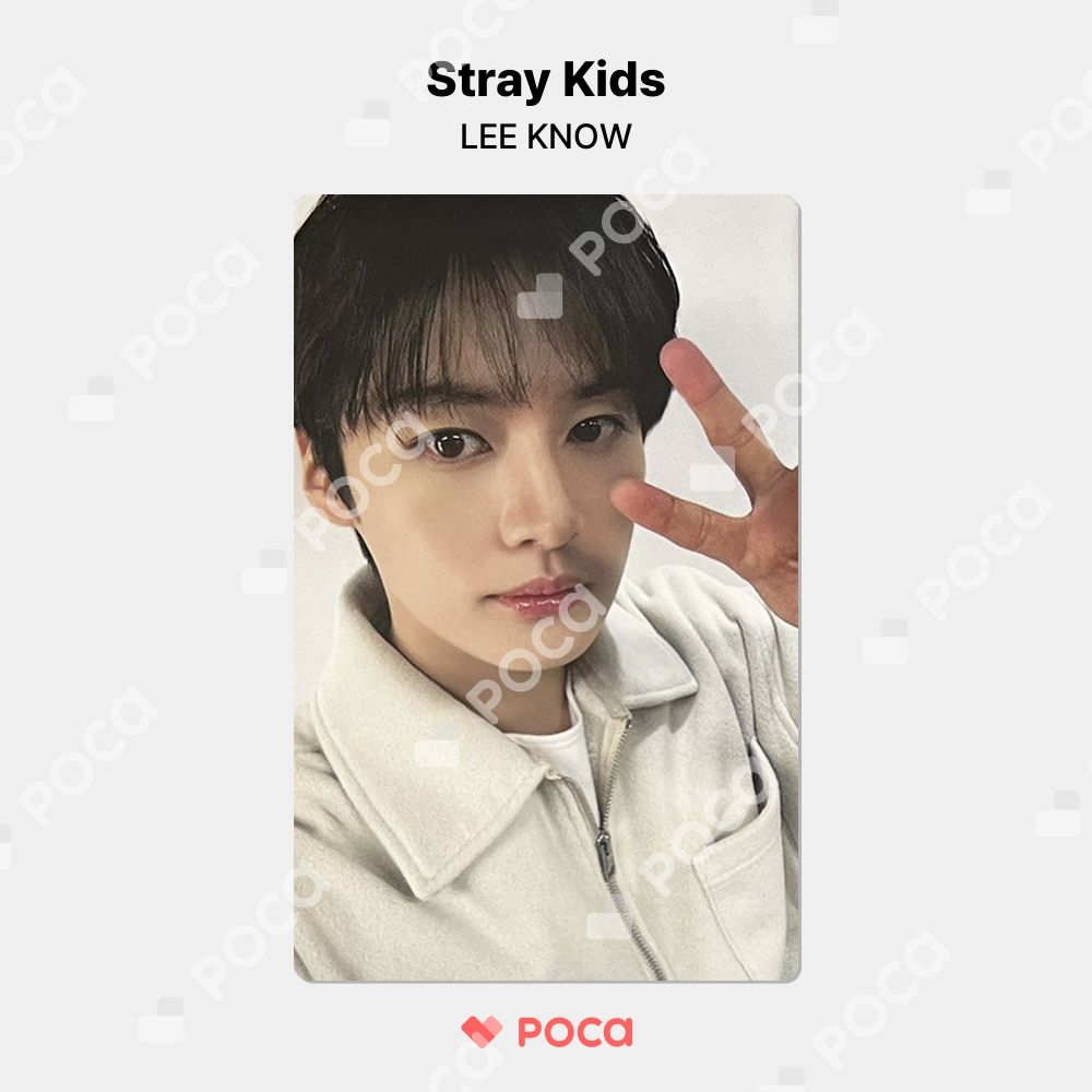straykids リノ スキズ トレカ Stray Kids 4TH FANMEETING
