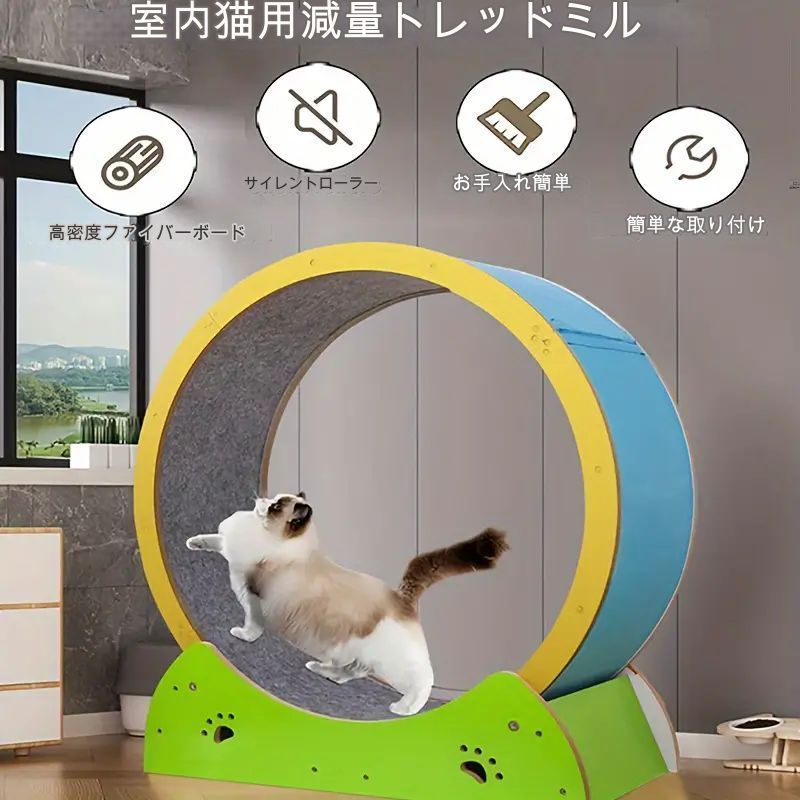 運動不足解消 エクササイズ